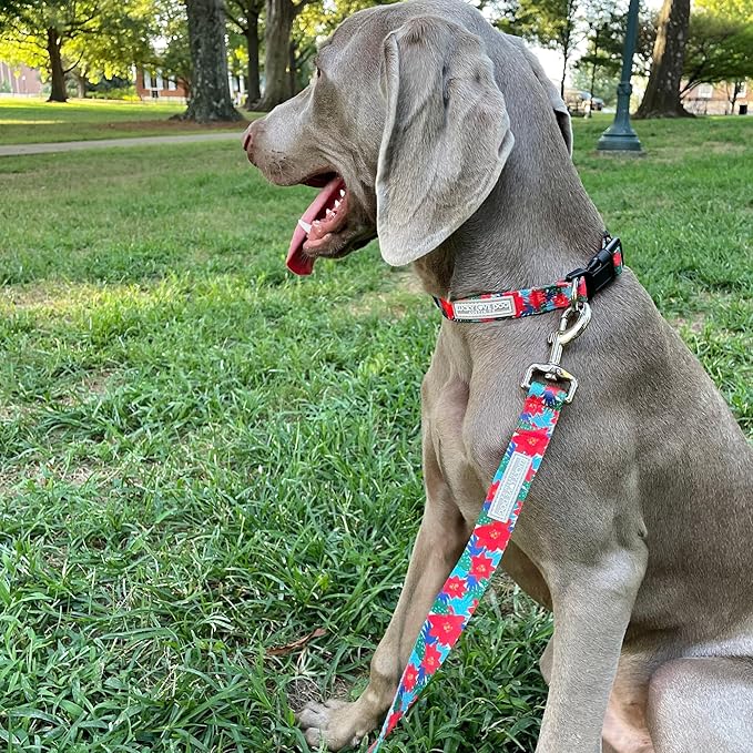 Lucky Love Dog - Adjustable Dog Collar with Easy Click Noel for Medium, Durable, & Comfortable for Male & Female Dogs, Pet Collar for Puppies & Adult Dogs - Noel, Medium
