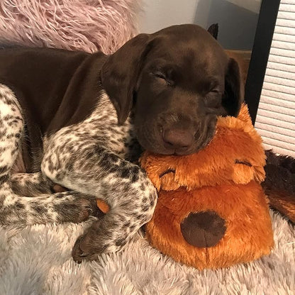Original Snuggle Puppy Heartbeat Puppy Toy - Heartbeat Puppy for Dogs - Pet Anxiety Relief and Calming Aid - Comfort Dog Toy - Behavioral Training and Sleep Aid Cuddle buddy - Crate Training Essential