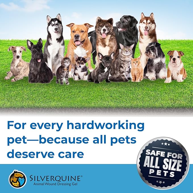Silverquine Dog Wound Care Gel - Hot Spot Gel Solution for Dogs and Cats - Safe If Licked, Odorless Silver Hydrogel Ointment for Pets Cuts, Burns, Scratches, Sores and Skin Concerns - 1.5 Oz