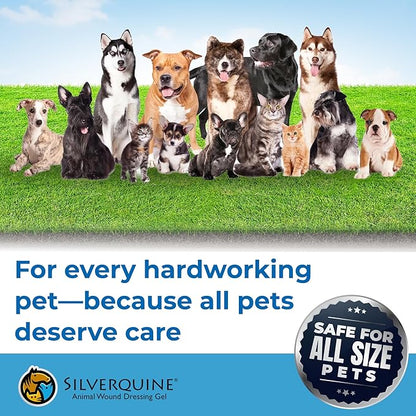 Silverquine Dog Wound Care Gel - Hot Spot Gel Solution for Dogs and Cats - Safe If Licked, Odorless Silver Hydrogel Ointment for Pets Cuts, Burns, Scratches, Sores and Skin Concerns - 1.5 Oz