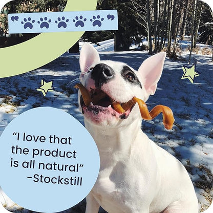Pawstruck Natural 3–5" Bully Sticks for Small Dogs and Puppies – Single Ingredient, Low-Odor, Rawhide-Free Chew Treat – 100% Real Beef, No Artificial Preservatives – 8 oz Bag – Packaging May Vary