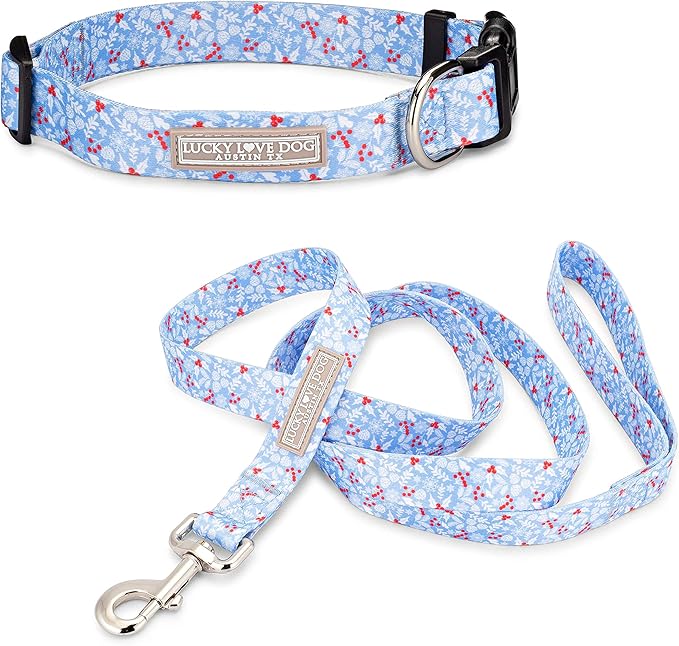 Lucky Love Dog - Adjustable Dog Collar and Leash Set with Easy Click Buckle for Medium Dogs, Durable, & Comfortable Collar for Male & Female Dogs, Puppies & Adult - Winterblue Combo, Medium
