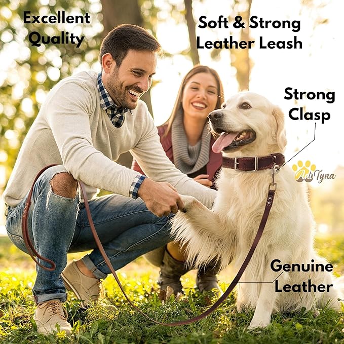 Leather Dog Leash 6 ft x 3/4 inch - Soft, Strong, Heavy Duty for Large & Medium Breeds - Dog Lead for Walking (Brown - Gold Colored Clasp, L - 6 ft x 3/4 inch)