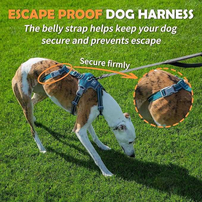 Huntboo Escape Proof Dog Harness – No Pull, No Slip, Fully Reflective, Adjustable 7-Point Design for Small, Medium, and Large Dogs – Lightweight for Outdoor Training & Hiking (Teal, M)