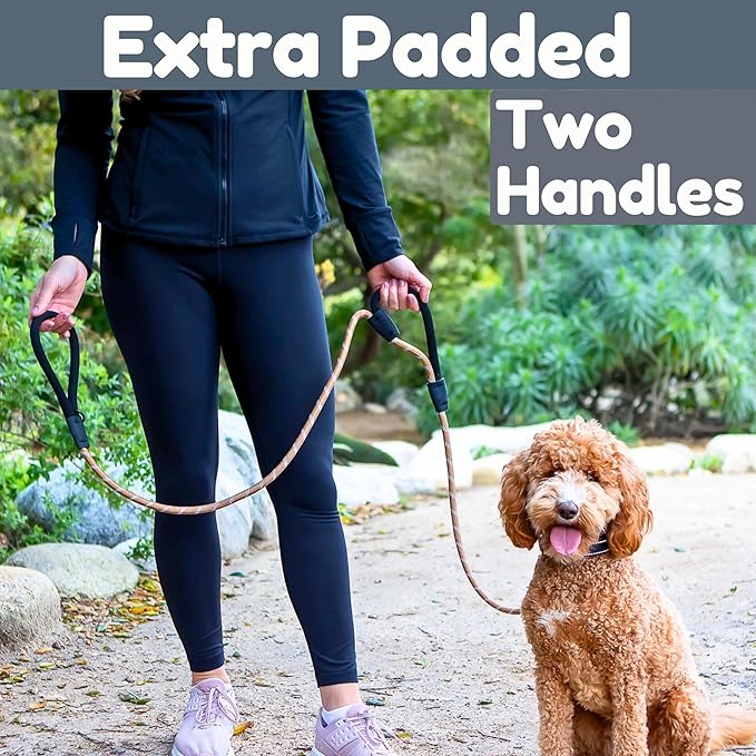 6 Foot Dog Leash, Two Extra Padded Handles, Locking Carabiner Clip, Reflective for Night Visibility, Weatherproof, Heavy Duty Rope Leash, Roam Gear (Brown)