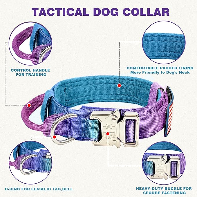 Tactical Dog Collar and Bungee Leash,Military Dog Collar & Leash Set with USA American Flag Adjustable K9 Collar with Heavy Duty Metal Buckle & Handle,with Patches and Airtags Case (Gradient, M)