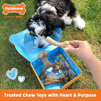 Nylabone Puppy Gift Box, Includes 3 Strong Puppy Chew Toys and 1 Natural Treat Bone for Puppies, Gifts for Puppies, Small Dogs - Up to 25 lbs., 4 Pack