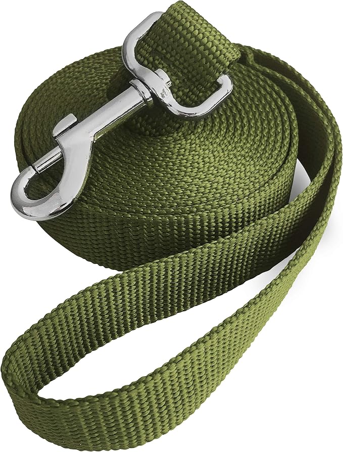 10ft Dark Green Dog Leashes - Obedience Recall Training Agility - Traditional Style Extra Long Leads for Large, Medium & Small Dogs - Great for Parks,Fetch,Backyard & Camping(10FT, Dark Green)
