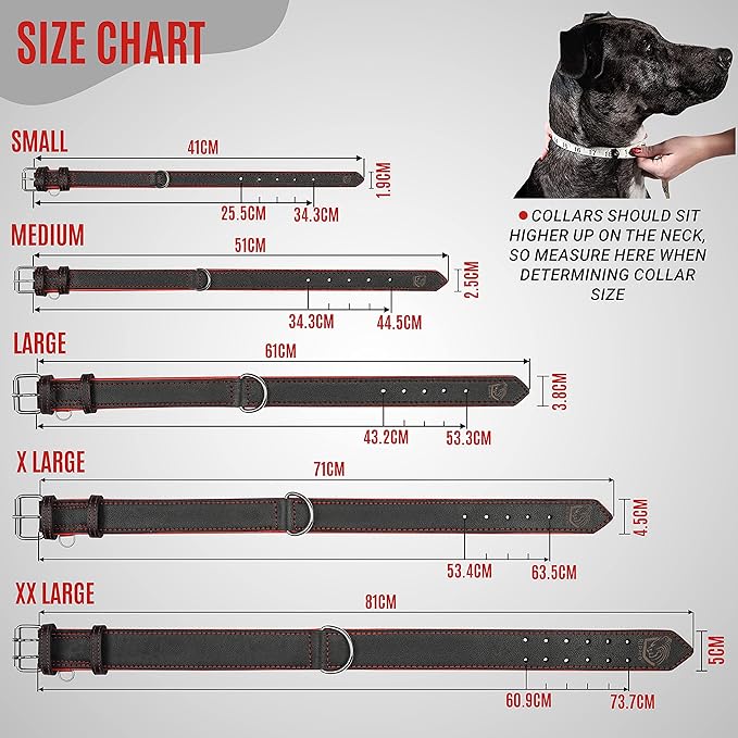Riparo Genuine Leather Padded Dog Heavy Duty K-9 Adjustable Collar (S: 0.75” Wide for 10”-13.5” Neck, Black/Red Thread)