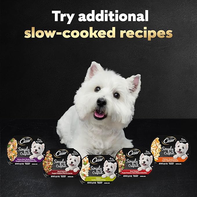 Cesar Simply Crafted Adult Wet Dog Food Toppers for Dry Food, Chicken, 1.3 oz Tubs, 10 Count
