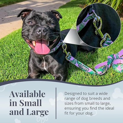 Lucky Love Dog Leash – Soft, Durable, and Comfortable Leash with Vibrant Patterns – Stylish and Long Lasting for Small Male and Female Dogs – Laguna, Small