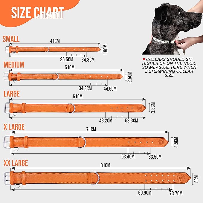 Riparo Orange Leather Dog Collar - Heavy Duty Wide Dog Collar for Small, Medium, Large and Extra Large Dogs with Dog Tag Holder (M: 1" Wide for 13.5”-17.5” Neck, Orange)