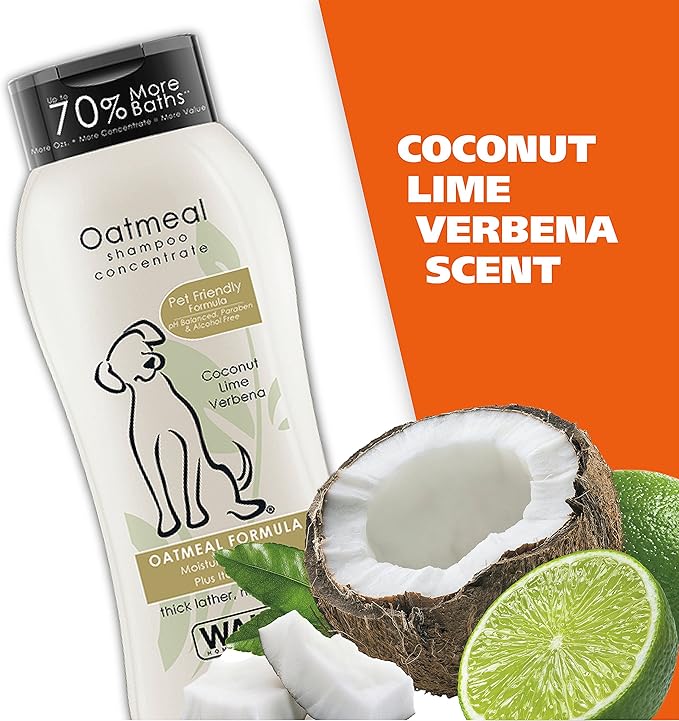 Wahl USA Dry Skin & Itch Relief Pet Shampoo for Dogs – Oatmeal Formula with Coconut Lime Verbena Scent & Pet Friendly Formula, 24 Oz - Model 820004A