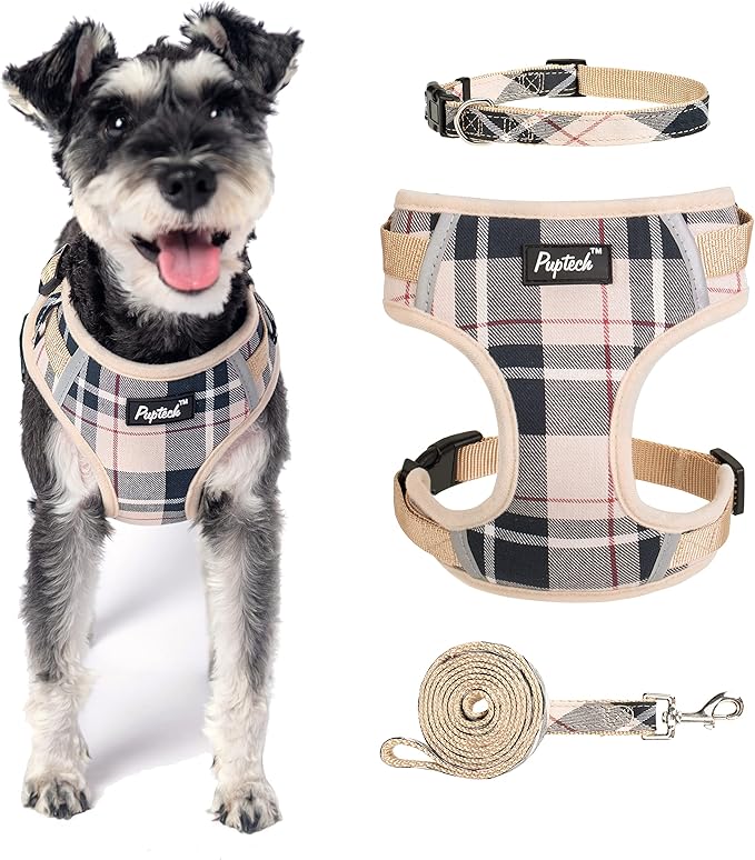 PUPTECK Small Dog Harness and Leash Set, No Pull Adjustable Puppy Cat Harness, Reflective Soft Mesh Pet Vest Small Sized, Beige Plaid, S