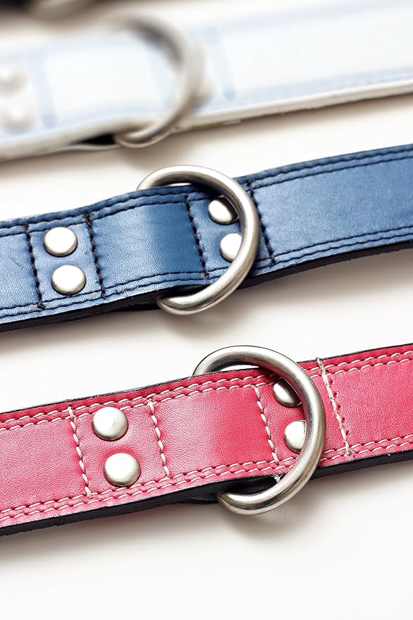 Premium Leather Collars with Stainless Steel Buckles (15"-18", Chocolate)
