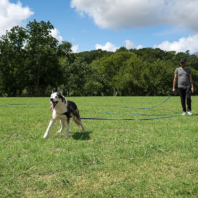 Hi Kiss Dog/Puppy Obedience Recall Training Agility Lead - 15ft 20ft 30ft 50ft 100ft Training Leash - Great for Training, Play, Camping, or Backyard - Pink 100ft