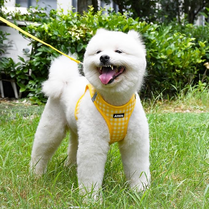 AIITLE Breathable Mesh Dog Vest Harness, No Pull Escape Proof Vest Harnesses with Reflective Bands, Adjustable Plaid Pet Outdoor Harnesses for Small and Medium Dogs Yellow M