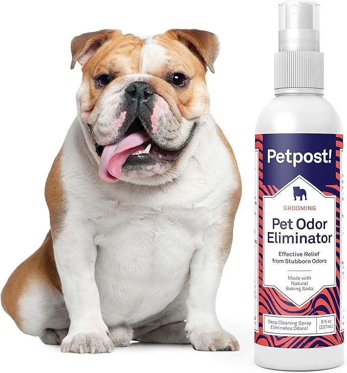 Petpost | Pet Odor Eliminator Spray for Dogs & Cats - Naturally Effective Deodorant and Bad Smell Killer - For Spraying Your Pet or Around the Home 8 oz.