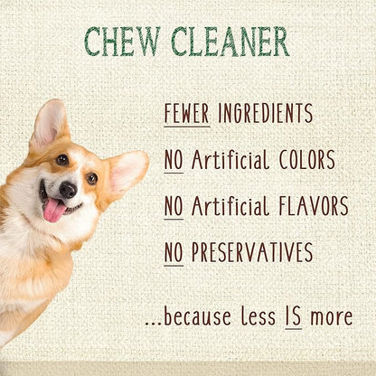 Nylabone Nutri Dent Dog Dental Chews - Natural Dog Teeth Cleaning & Breath Freshener - Dental Treats for Dogs - Filet Mignon Flavor, Medium (20 Count)