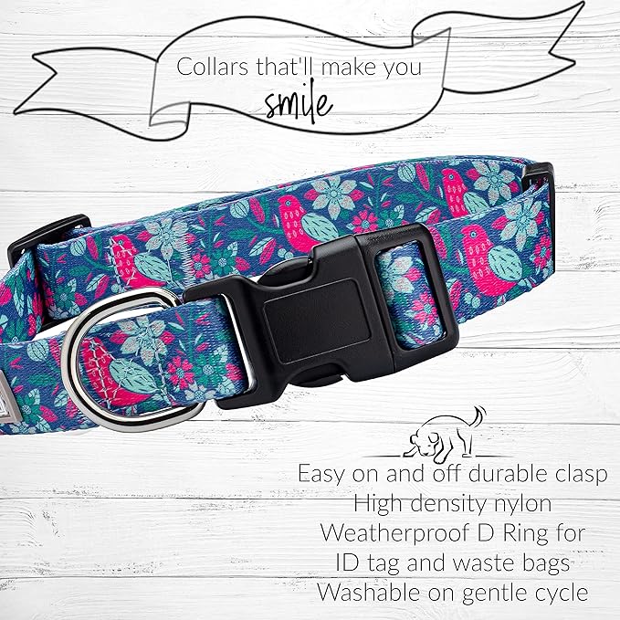 Lucky Love Dog - Adjustable Dog Collar with Easy Click Buckle for Small Dogs, Durable, & Comfortable for Male & Female Dogs, Pet Collar for Puppies & Adult Ones - Carriebelle, Small