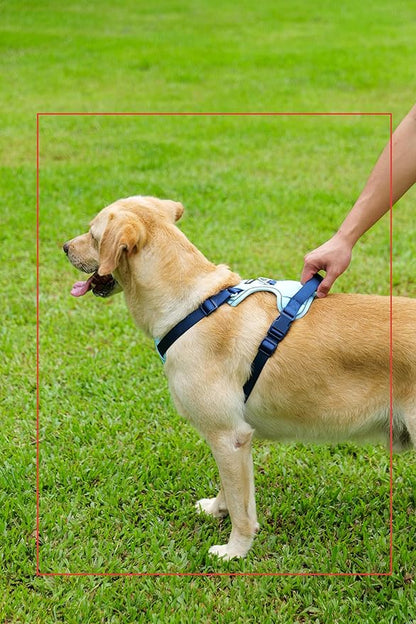 No Pull Dog Harness Leash and Collar Set, Soft Adjustable Dogs Vest Reflective and Comfortable Handle Blue Medium