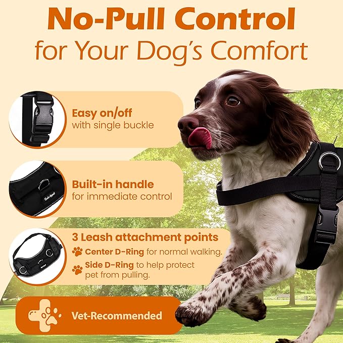 Bark Appeal Black No-Pull Dog Harness for Extra Small Sized Pets – Adjustable, Reflective Vest with 3 Leash Clips for Added Control, Easy Walks & Training – XS