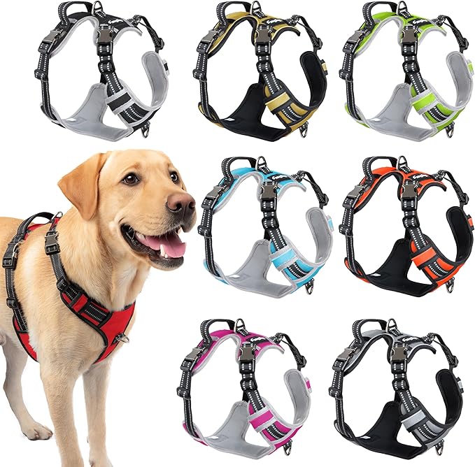 DogTraxs - Step-in Dog Harness - for Medium Dogs - Soft Padding & Reflective Trim - Adjustable No Pull Through Design - Control Handle - Top & Front Clip Durable - Ruby Red