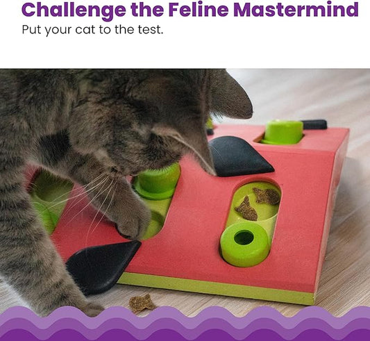 Catstages by Nina Ottosson Melon Madness Puzzle & Play – Interactive Treat Puzzle Feeder for Cats, 12 Hidden Treat Compartments Slow Feeder, Durable & Easy-Clean, 10 Inches, Pink