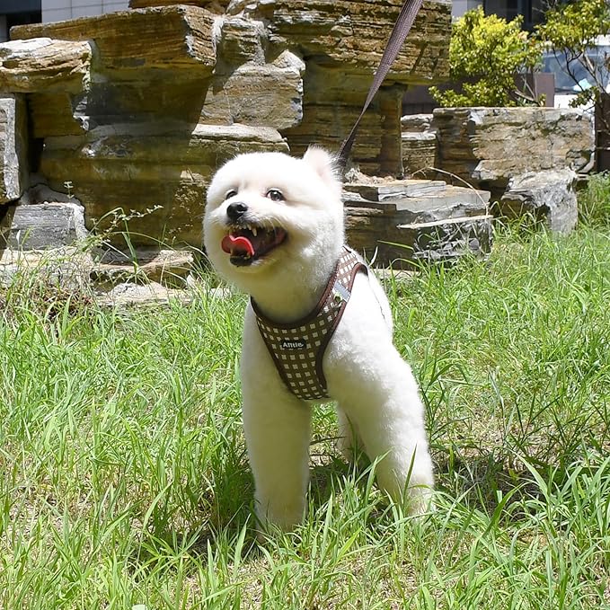 AIITLE Adjustable Dog Harness and Leash Set, Step in No Pull Pet Harness, Soft Mesh Reflective Plaid Vest Harnesses for Small Dogs Puppy and House Cats Outdoor Walking Running Chocolate XS