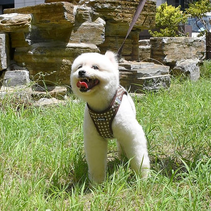AIITLE Adjustable Dog Harness and Leash Set, Step in No Pull Pet Harness, Soft Mesh Reflective Plaid Vest Harnesses for Small Dogs Puppy and House Cats Outdoor Walking Running Chocolate XS