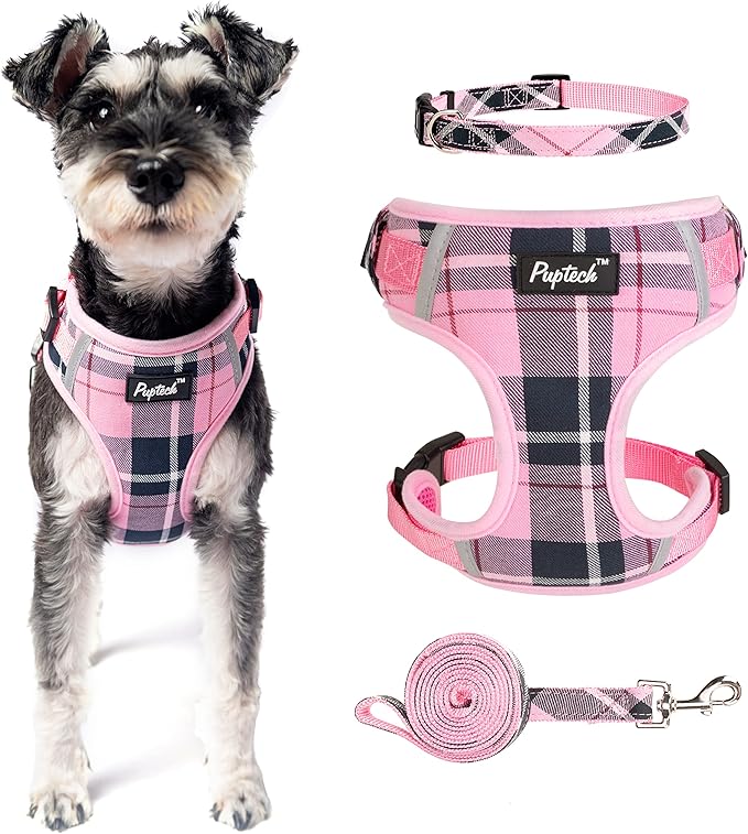 PUPTECK Small Dog Harness and Leash Set, No Pull Adjustable Puppy Cat Harness, Reflective Soft Mesh Pet Vest Small Sized, Pink Plaid, XS