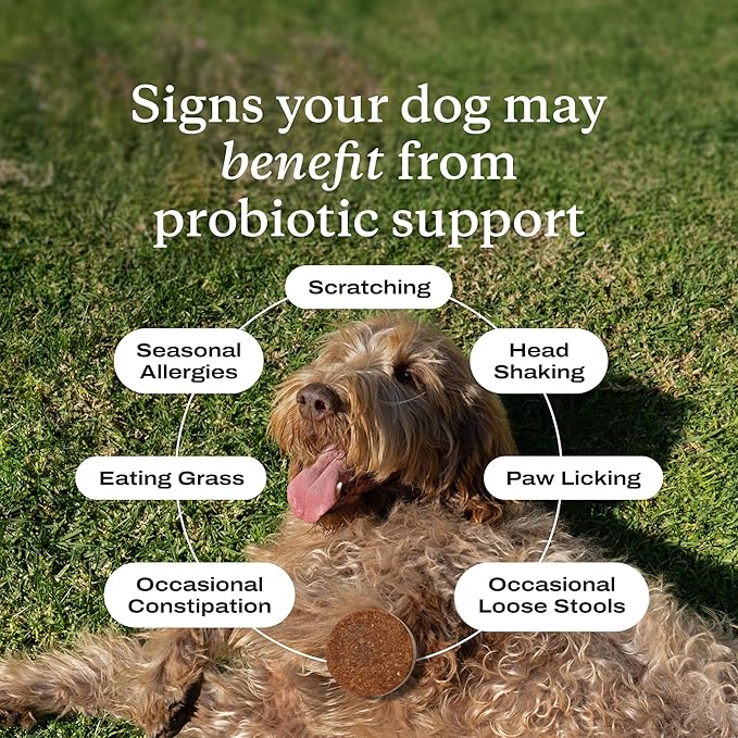PetLab Co. Probiotics for Dogs - Support Gut Health, Occasional Diarrhea, Digestive Health, Paw Licking & Seasonal Allergies, Pork Flavor, 30 Soft Chews, Formulated for Medium Dogs, Packaging May Vary