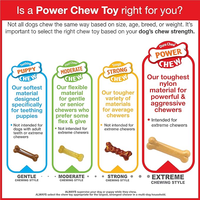 Nylabone Original Bone Power Chew Toy for Dogs, Durable Dog Toys for Aggressive Chewers, Flavor Frenzy Pancakes & Sausage, Roast Beef, & Lasagna, X-Small - Up to 15 lbs, 3 Pack