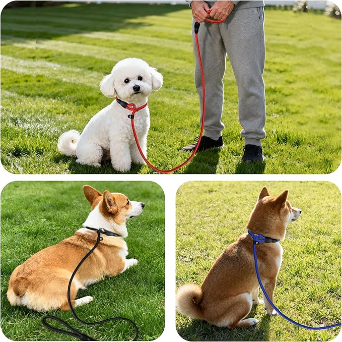 FOVRLZSE Upgraded Dog Slip Lead (3-Pack) – Adjustable Nylon Lead (Red/Black/Blue) for Training Aid, Eco-Friendly Cotton Lining, Integrated Plastic Buckle
