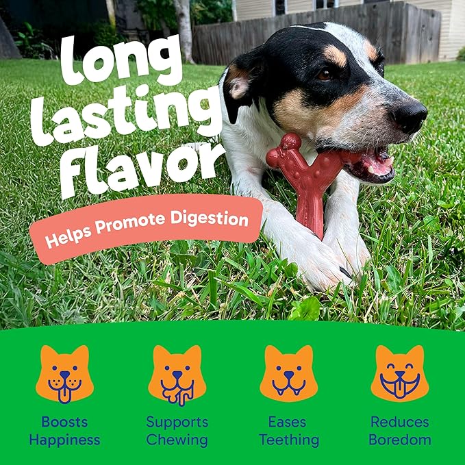 Chew'ems Durable Chewy Dog Toys | Long-Lasting & Flavorful Chew Dog Toys, Large Dog Breeds | Large Dogs, Salmon-Flavored