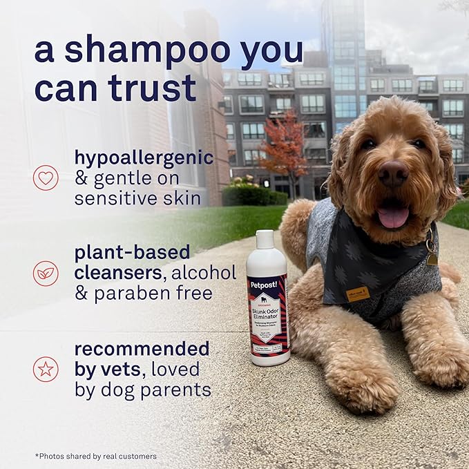 Petpost | Skunk Odor Eliminator Shampoo for Dogs & Cats. Neutralizes Strong Odors. Gentle & Safe Formula. 16 oz