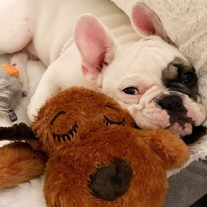 Original Snuggle Puppy Heartbeat Puppy Toy - Heartbeat Puppy for Dogs - Pet Anxiety Relief and Calming Aid - Comfort Dog Toy - Behavioral Training and Sleep Aid Cuddle buddy - Crate Training Essential