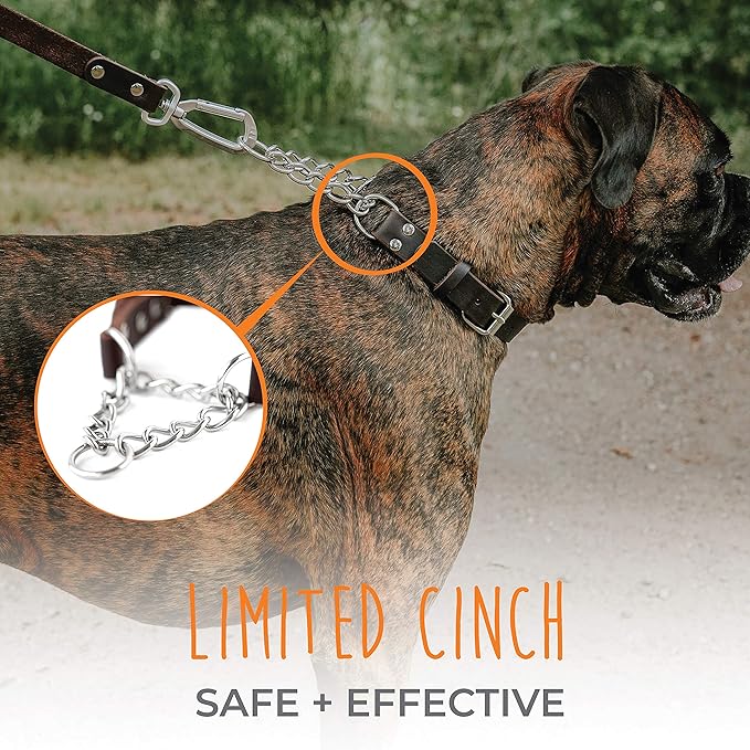 Mighty Paw Martingale Dog Collar - No Pull Design - Stainless Steel Chain - Limited Chain Cinch Training - Brown Leather Martingale Training Collar - Large Size