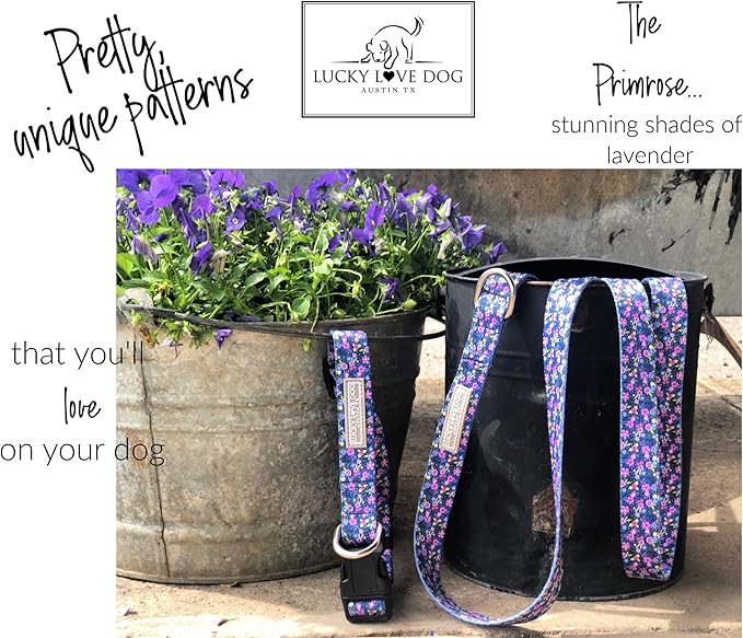 Lucky Love Dog Leash, Beautiful Vivid Patterns, Durable & Long Lasting (Primrose, Small)