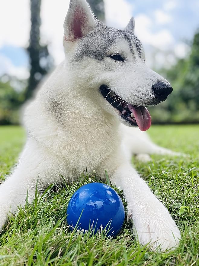 SuperChewer Tough Dog Ball Toy | Lifetime Replacement | Strong Natural Rubber | Great Dog Fetch Toy | Chew Toys for Dogs | Ultra Durable Chew Toys for Aggressive Chewers | Large Breed Tested