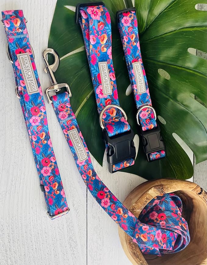 Lucky Love Dog - Easy Click Buckle Dog Collar with Leash Set Combo, Durable & Comfortable for Male & Female Dogs, Pet Collar for Large Dogs, Secure Fit - Zuzu Combo, XL