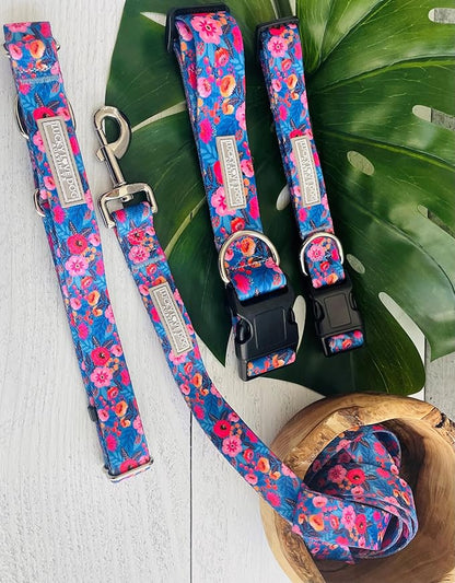 Lucky Love Dog - Easy Click Buckle Dog Collar with Leash Set Combo, Durable & Comfortable for Male & Female Dogs, Pet Collar for Large Dogs, Secure Fit - Zuzu Combo, XL