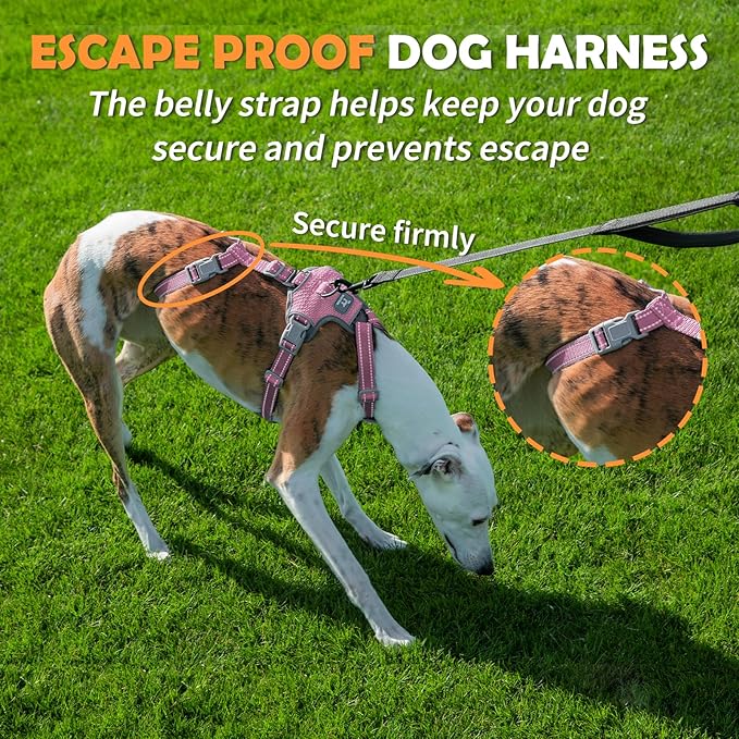 Huntboo Escape Proof Dog Harness – No Pull, No Slip, Fully Reflective, Adjustable 7-Point Design for Small, Medium, and Large Dogs – Lightweight for Outdoor Training & Hiking (Pink, XL)