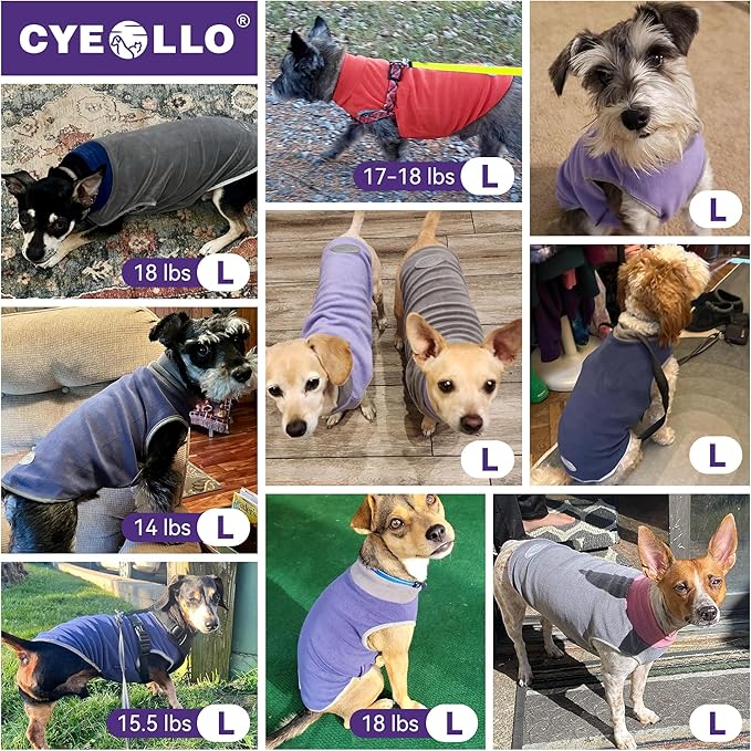 cyeollo 2 Pack Fleece Dog Sweater Vest Dog Sweatshirt Reflective Lightweight Pet Clothes for Small Dogs Girl Pet Apparel Pink, Fuschia, L