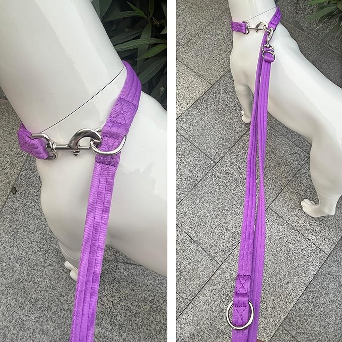Dog Leash-Multifunctional Double Ended,for Obedience Training Or Distance Work Easy to Use,Lightweight,Soft&Durable Convertible Hands Free,Crossbody,Over Shoulder (Purple, 2M*2.5CM)