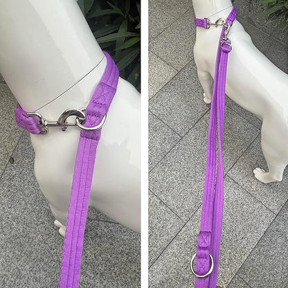 Dog Leash-Multifunctional Double Ended,for Obedience Training Or Distance Work Easy to Use,Lightweight,Soft&Durable Convertible Hands Free,Crossbody,Over Shoulder (Purple, 2M*2.5CM)