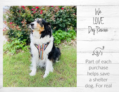 Lucky Love Dog No Pull Dog Harness, Adjustable and Easy to Walk, Cute Patterned Harness for SmallMale & Female Dogs - Primrose, Small