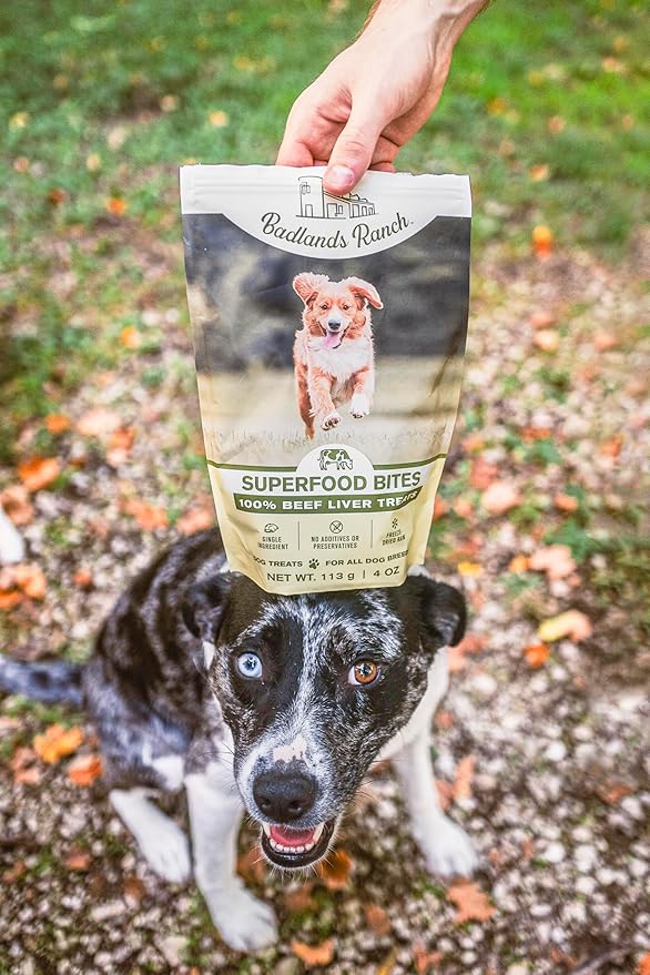 BADLANDS RANCH by Katherine Heigl – Superfood Bite Freeze-Dried Raw Beef Liver Dog Treats – High Protein Single-Ingredient Snacks for Training, Rewards & Daily Wellness