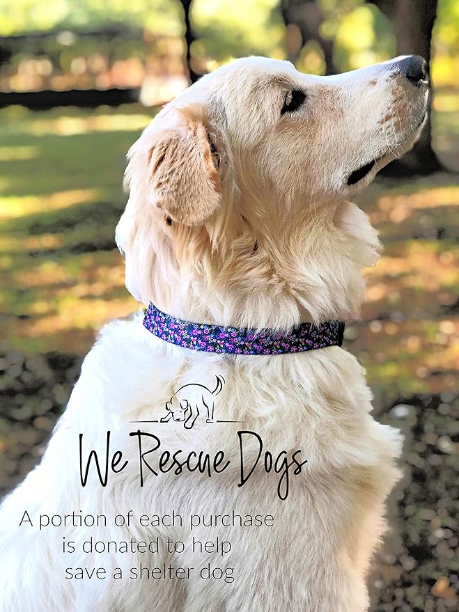 Lucky Love Dog, Matching Dog Collar & Leash Set for Female Dogs, Soft, Adjustable, Safe for Training and Walking, Black & Purple Floral Print, Primrose Combo, X-Small