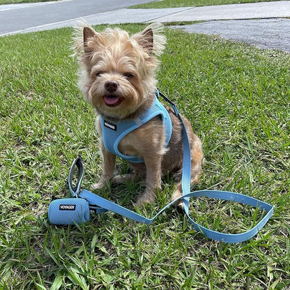 Best Pet Supplies Voyager Reflective Dog Leash or Collar with Neoprene Handle, for Small, Medium, and Large Breed Puppies, Cute and Heavy Duty for Walking, Running and Training - Baby Blue (Leash), S